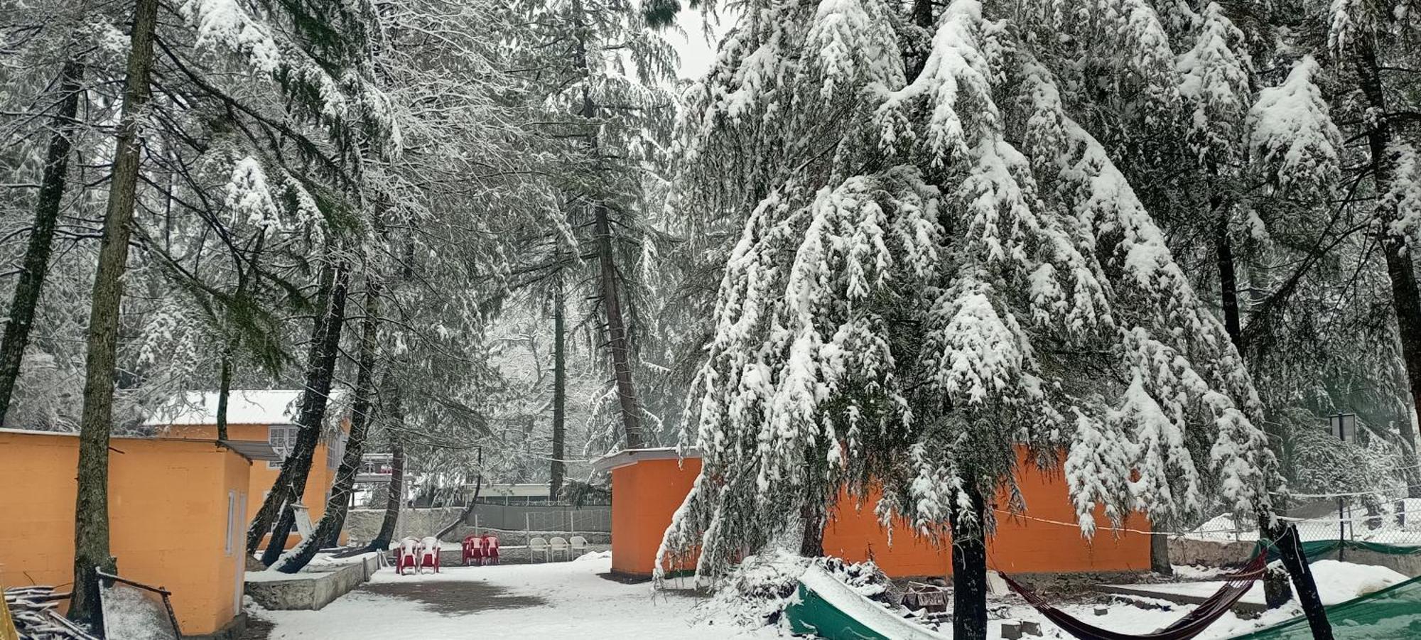 Pandora Riverside Cafe & Stay Kasol Exteriör bild